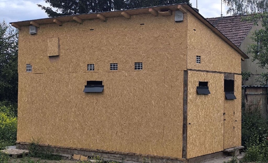 V Havlíčkově Brodě uspěl experiment s ptačím domem, vlaštovky v něm už hnízdí