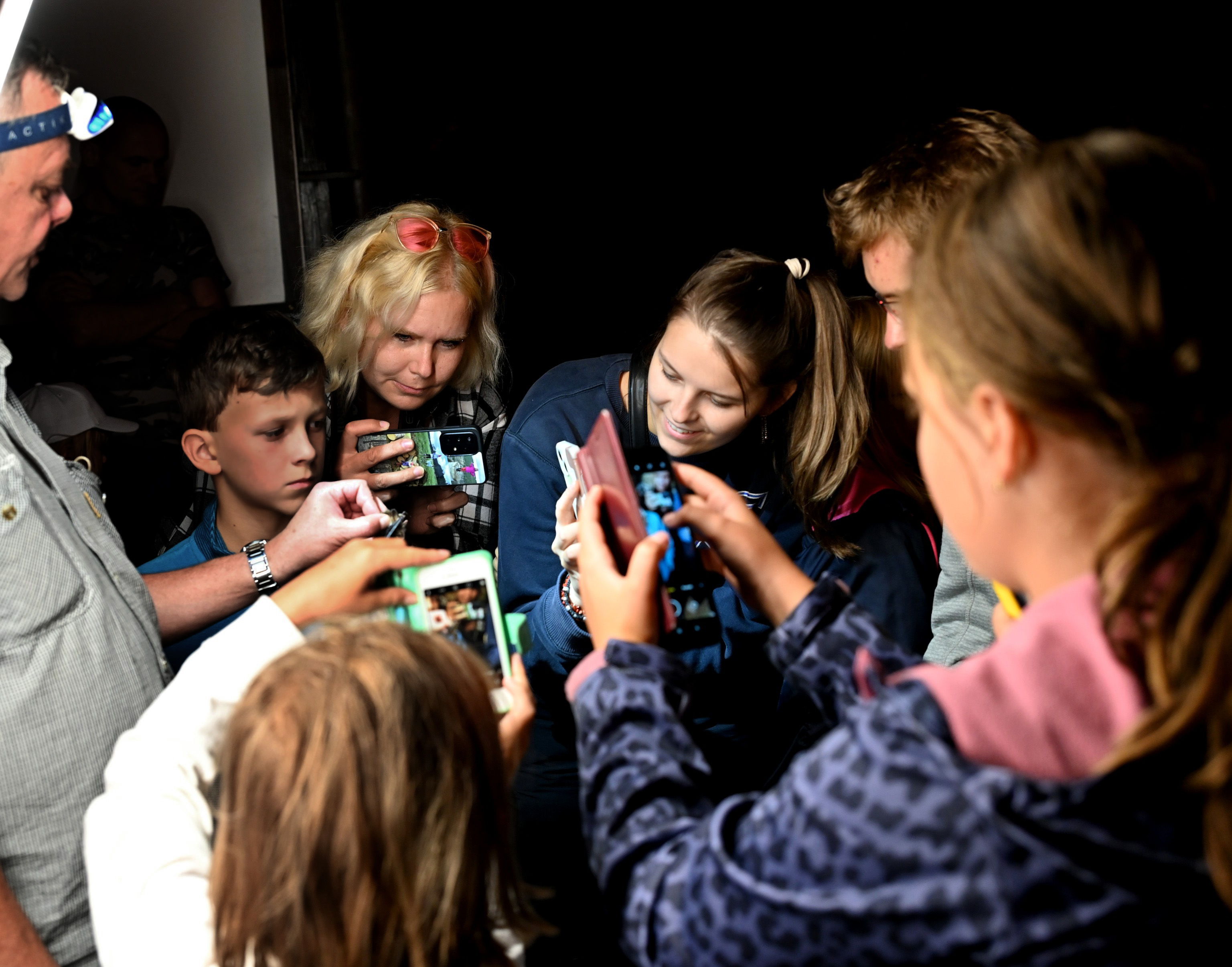 Netopýří noc u Chýnovské jeskyně: 26. ročník ukáže živé letouny i vědecký výzkum
